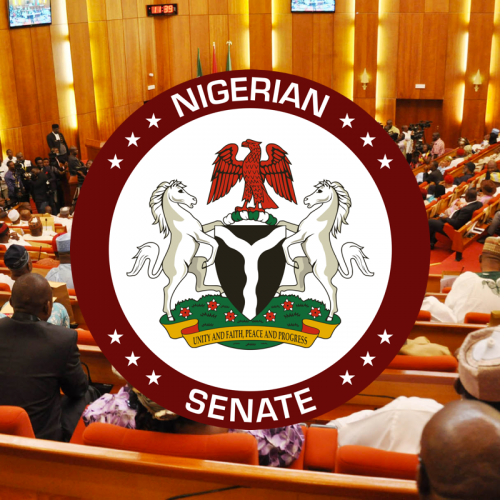 Anti-Terrorism: Senate introduces bill to create agency for repentant Boko Haram fighters
