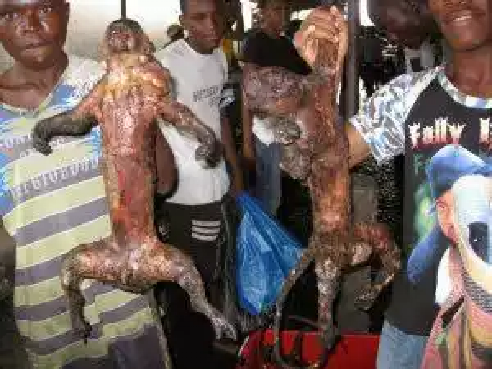 Bush Meat  is Still Safe – Die Hard Dealers, Patronizers defy warnings