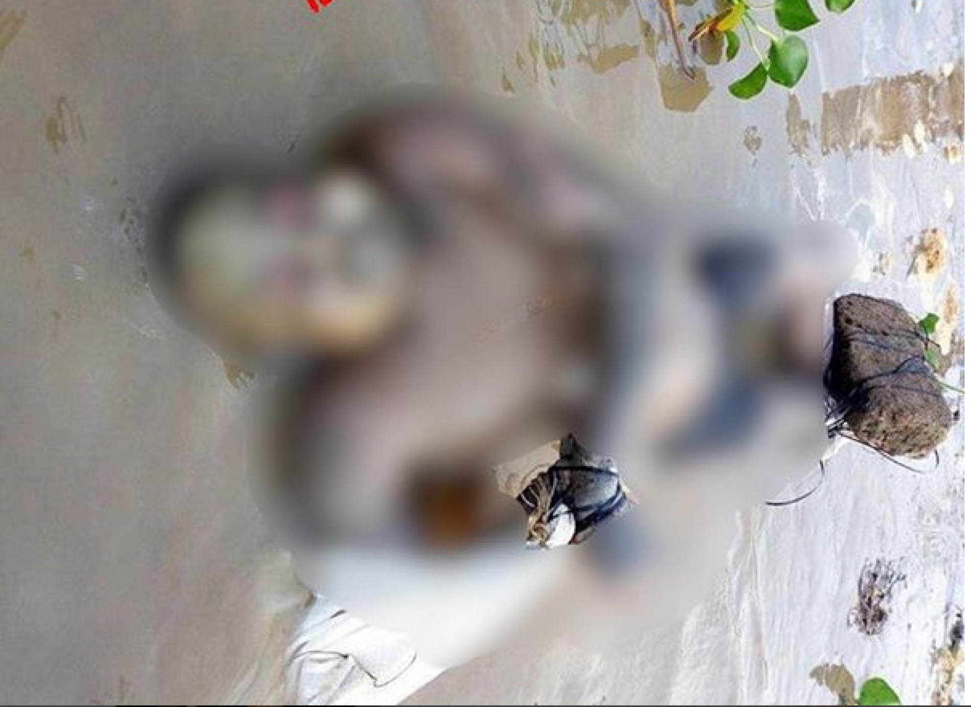 Wickedness: Man brutally murdered, thrown into river with legs tied to a block in Anambra