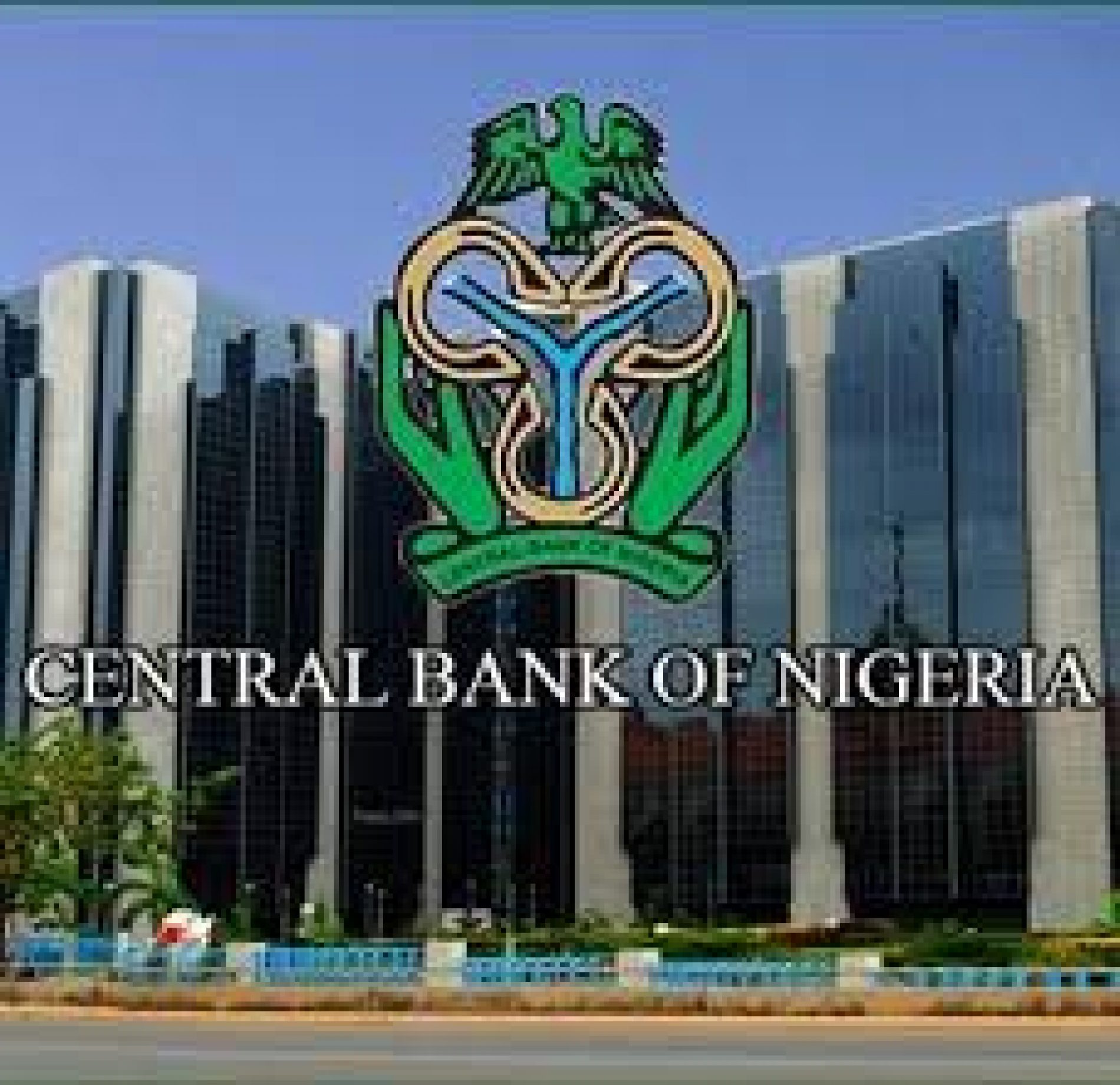 CBN Injects $331M Into Forex Market
