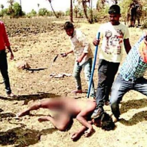 Violence Linked To Dead Cows kills Two in India