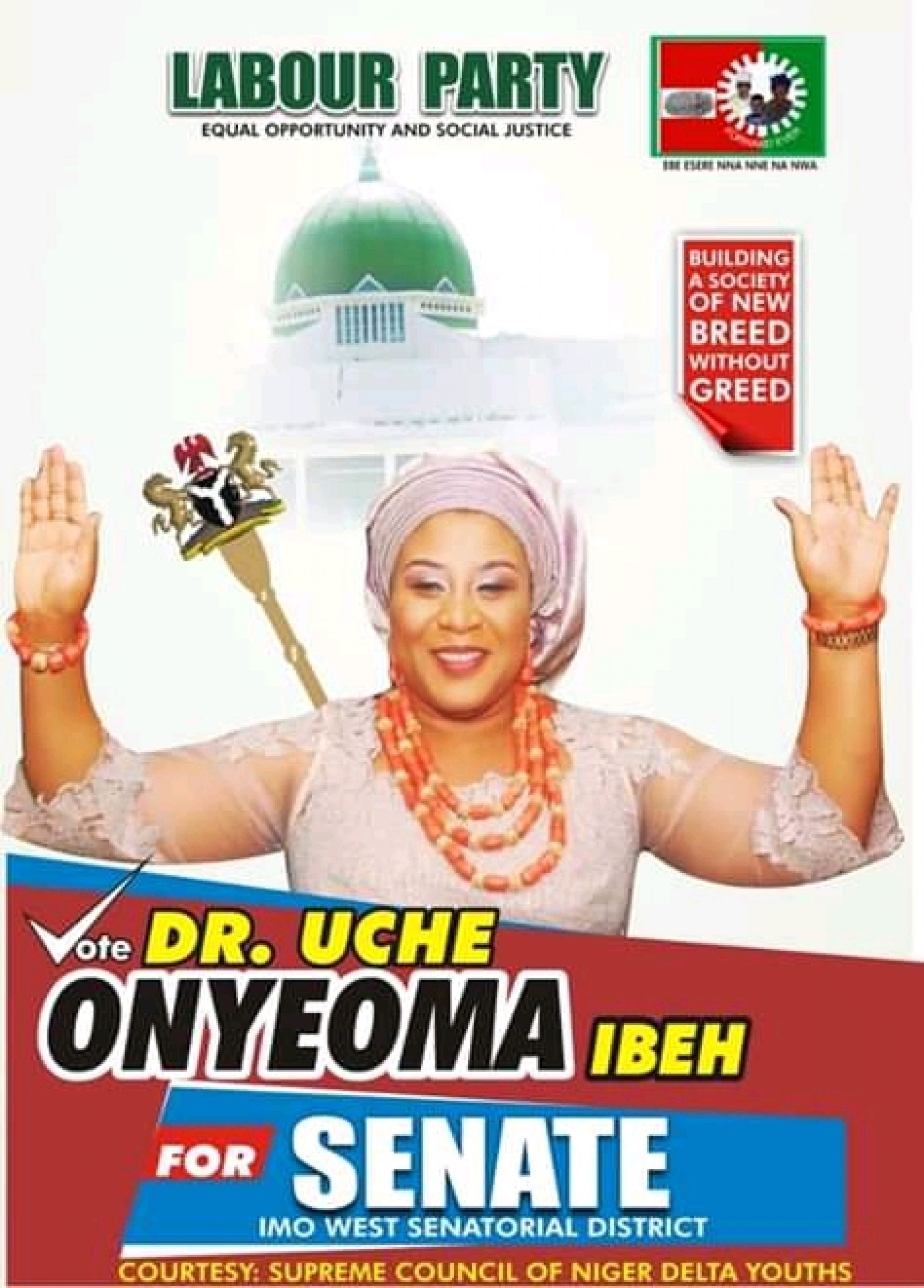 Orlu Senate: Dr. Uche Onyeoma Ibeh, the Quintessemtial Amazon for Orlu