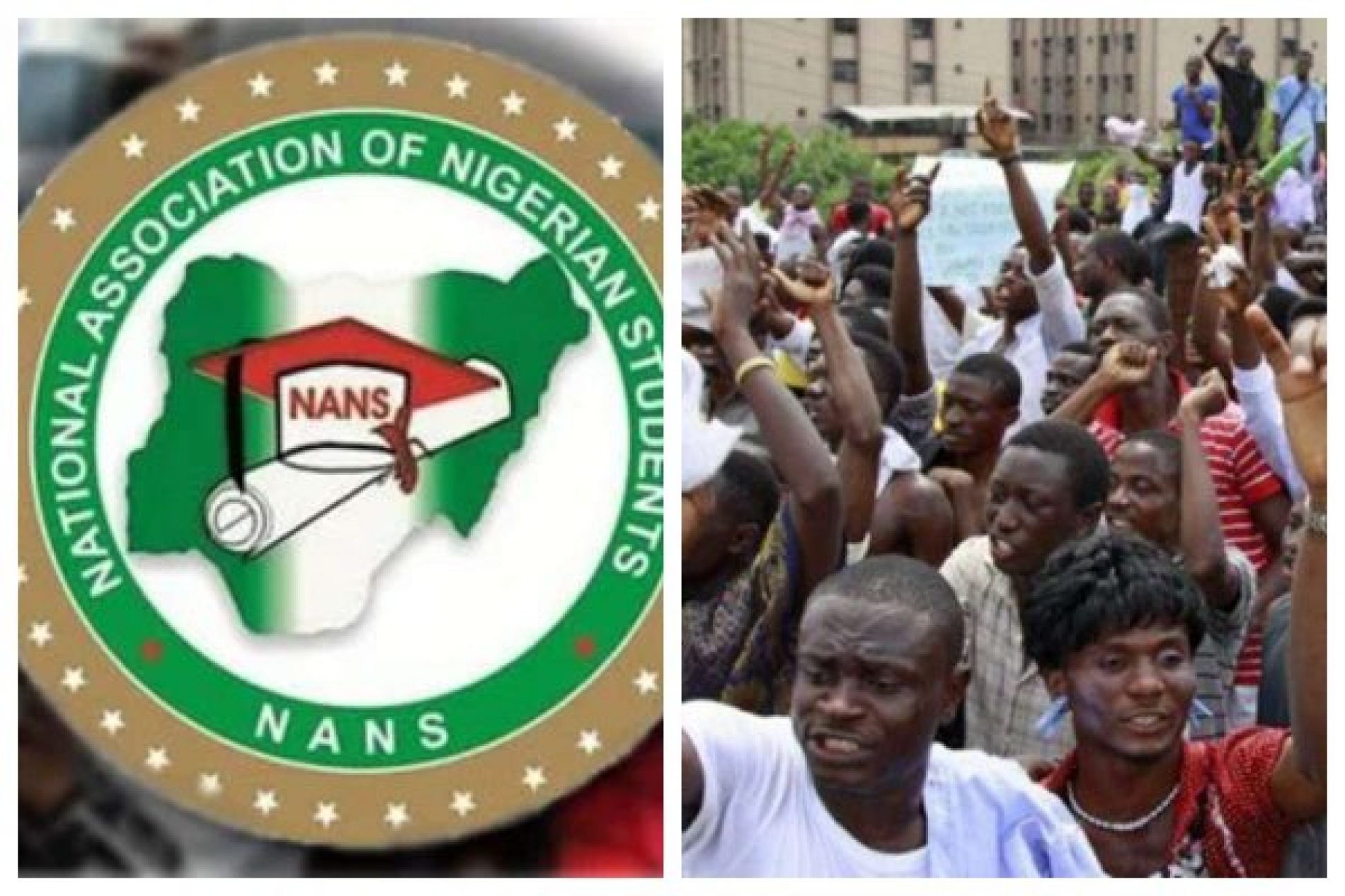 NANS Condemns Election Shift, plans protest Monday