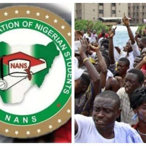NANS Condemns Election Shift, plans protest Monday