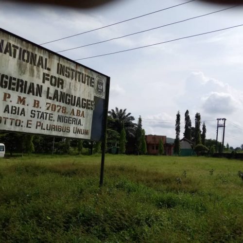 Modify National Institute for Nigerian Languages Aba to Enhance Study, Fed Govt urged