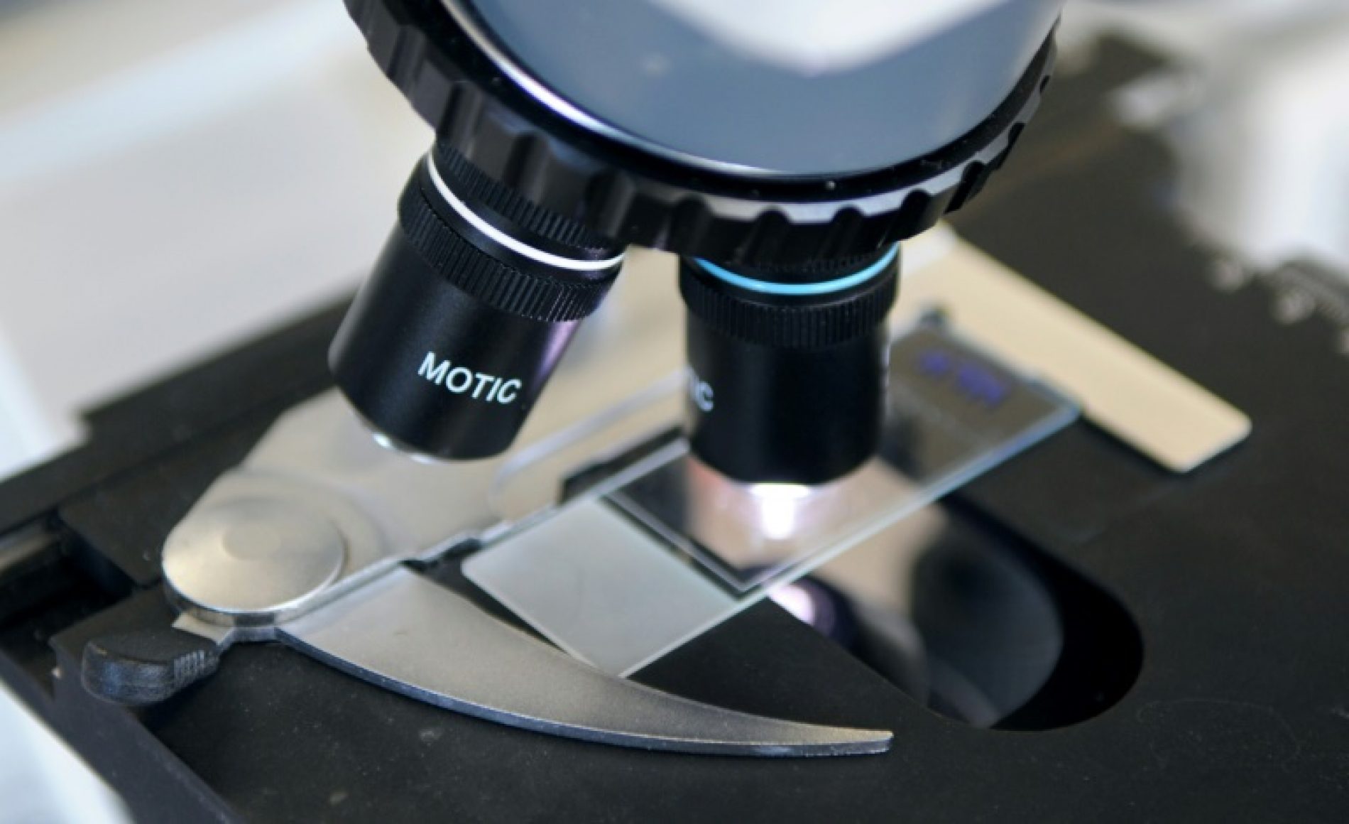 Scientists Find Powerhouses that Fight Tumours from within