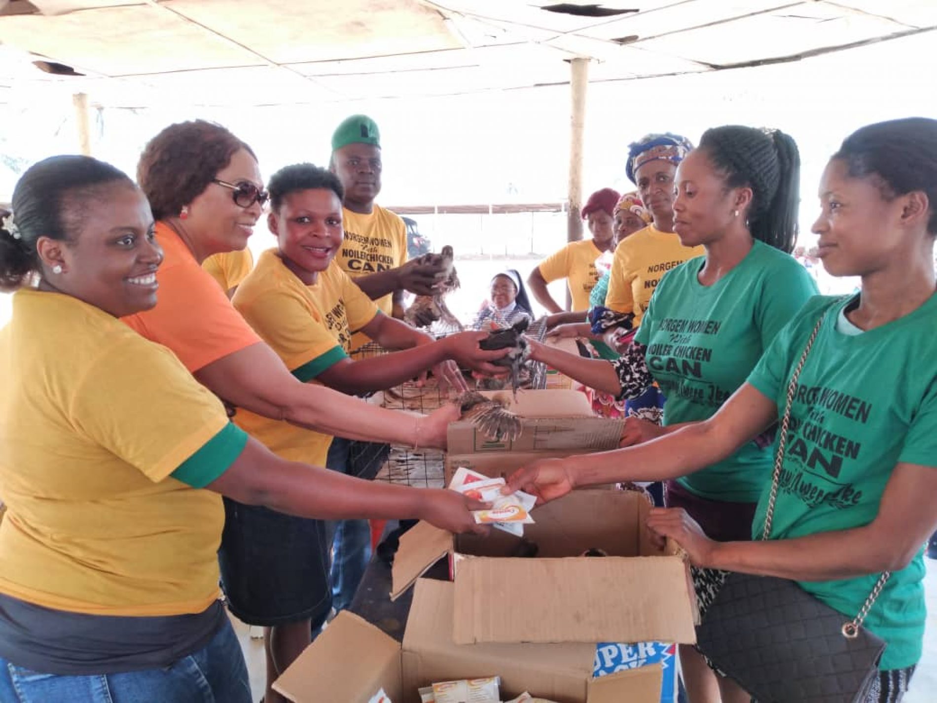 Norgem, Norgem Noilers Empowers Imo Rural Women with Poultry, Feeds for Improved Livelihood