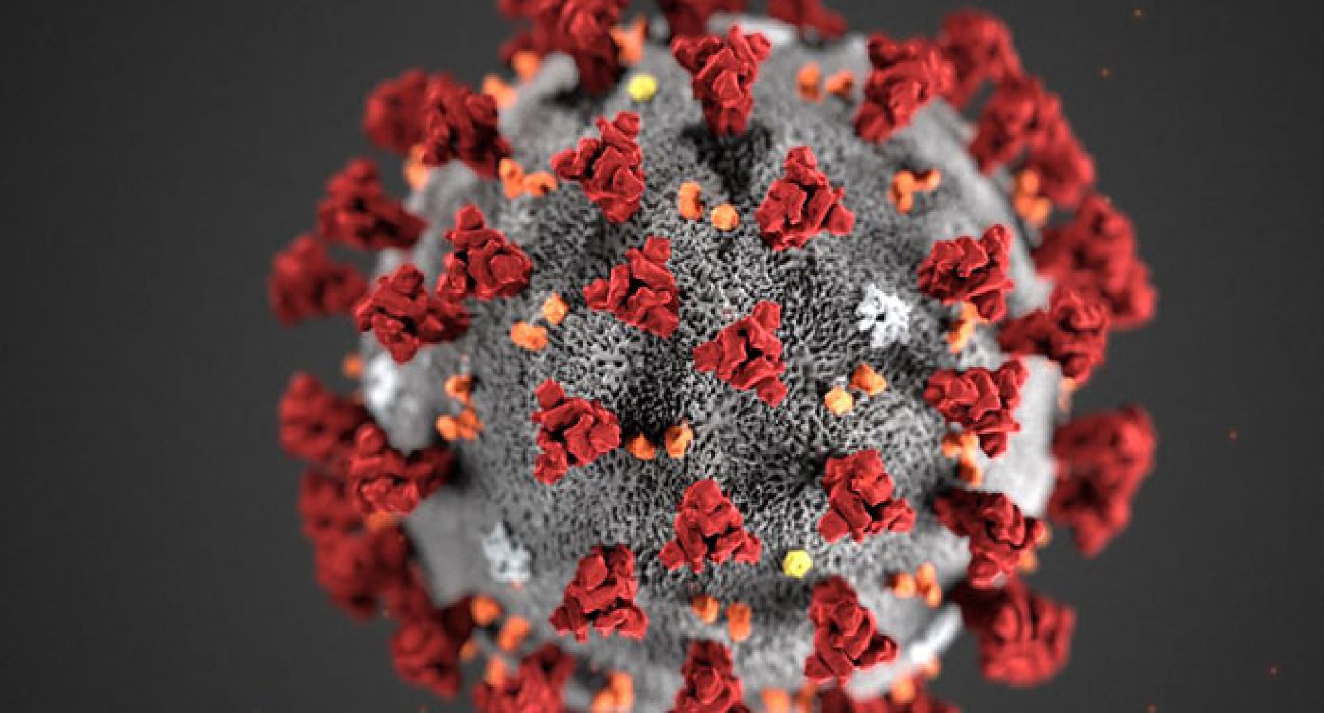 Nigeria Records 79 New COVID-19 Cases, Lowest In Months