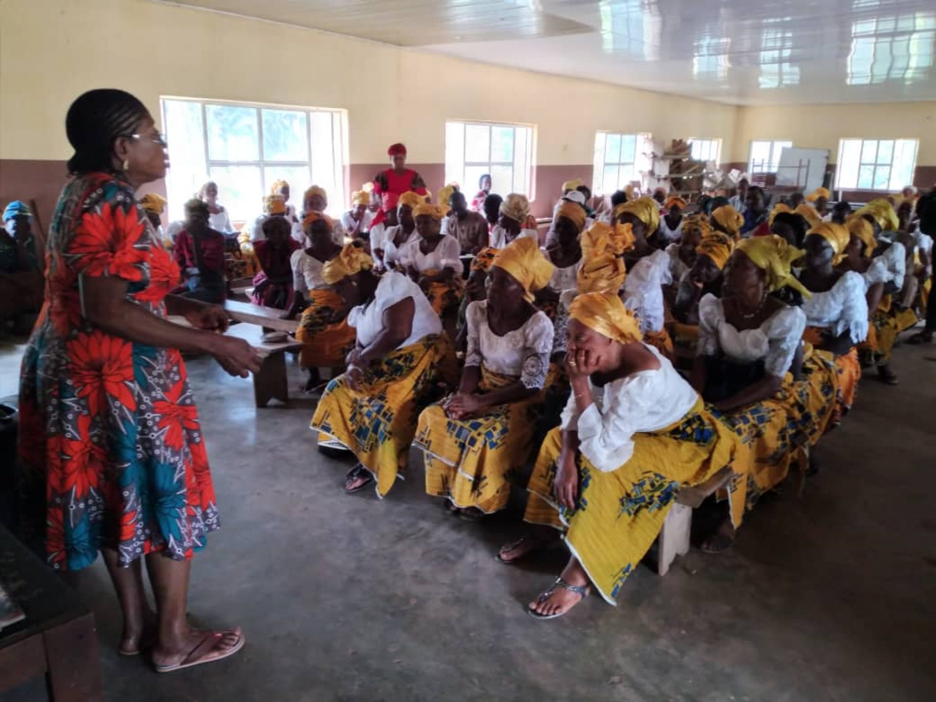 NOA, UNICEF Urges Communities To Establish Ward Development Committees To Enhance Immunization