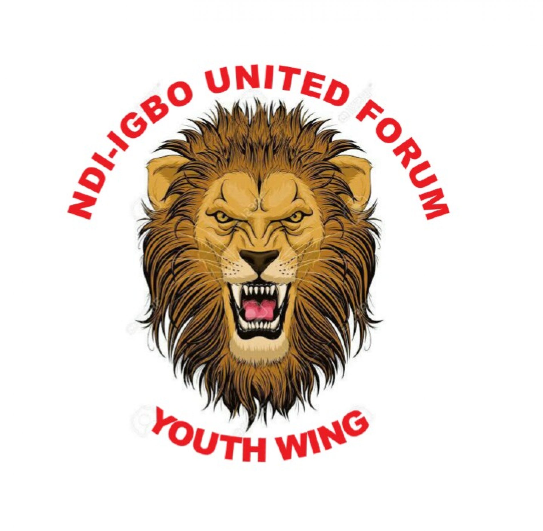 Christmas: Igbo Group Decries Perennial Extortion of Ndigbo by Nigerian Security Operatives, Calls For Order