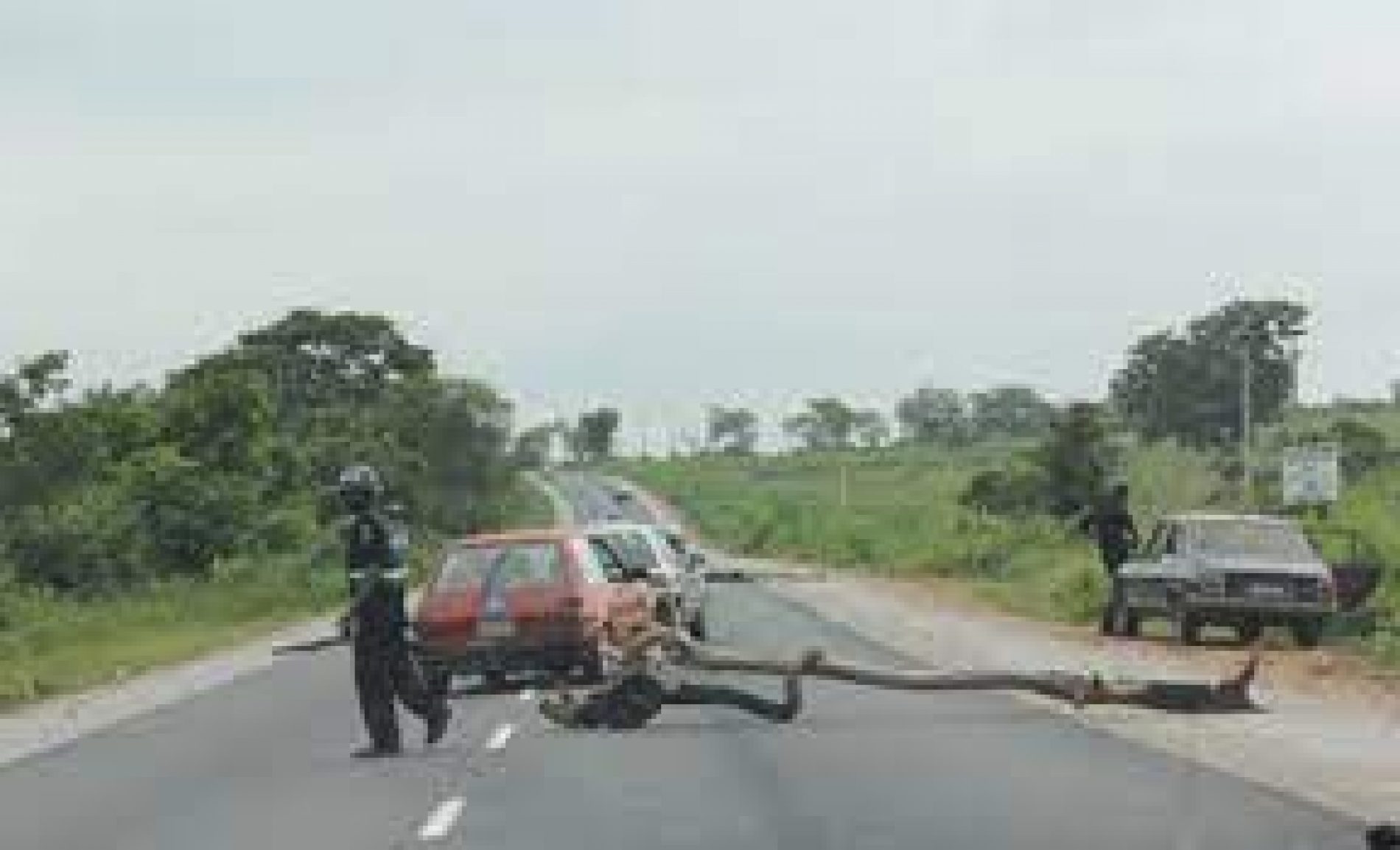 Police Checkpoints: NUF-Youth Wing Call For Implementation of Hon Chidioka’s Motion