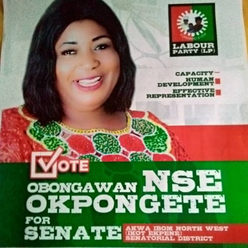 Ikot-Ekpene Senatorial–District: Vote For Obonganwan Nse Okpongette; For Credible Representation, Lion’s Voice