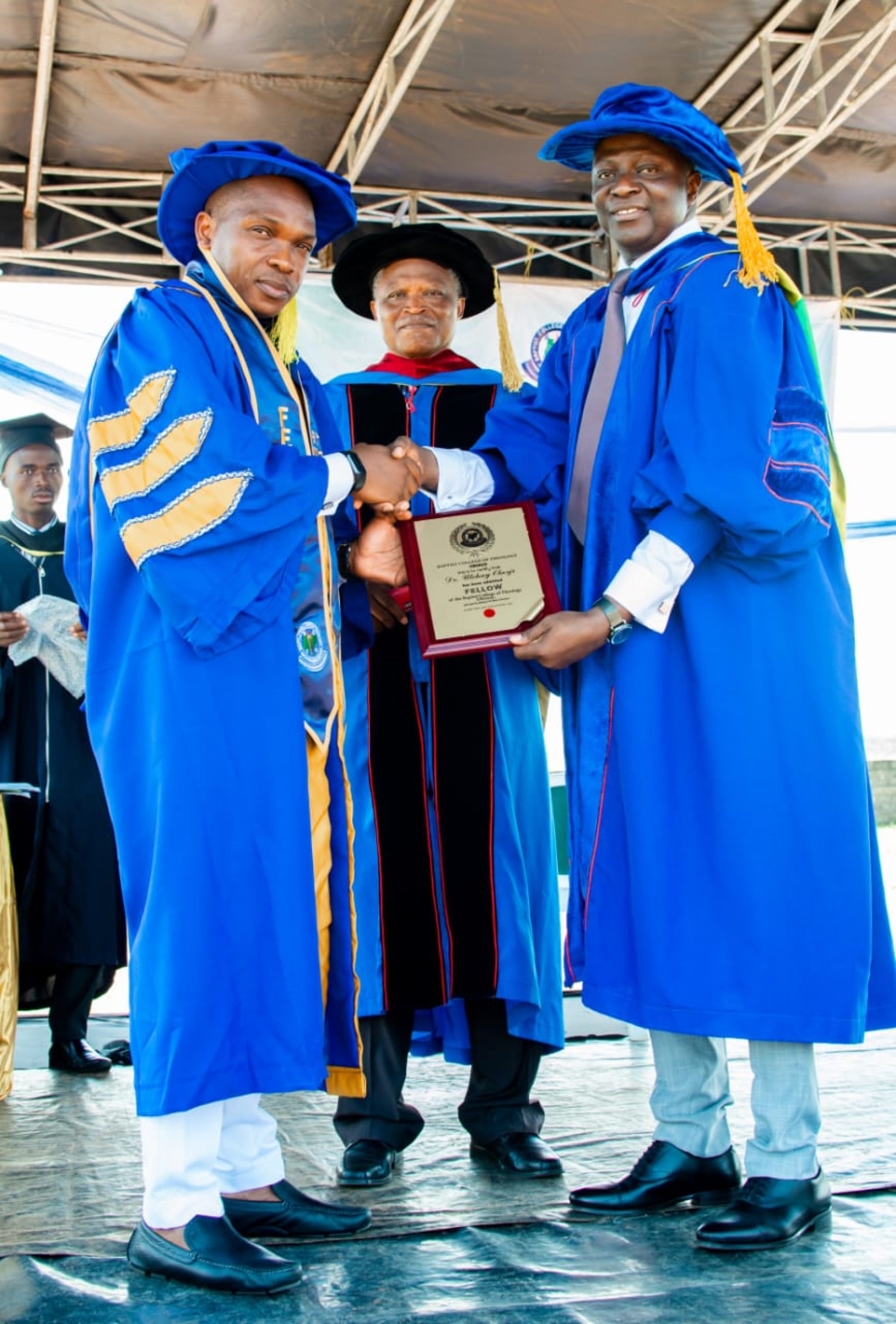 University Don, Utchay Okorji, bags Fellowship Award from BACOTHO
