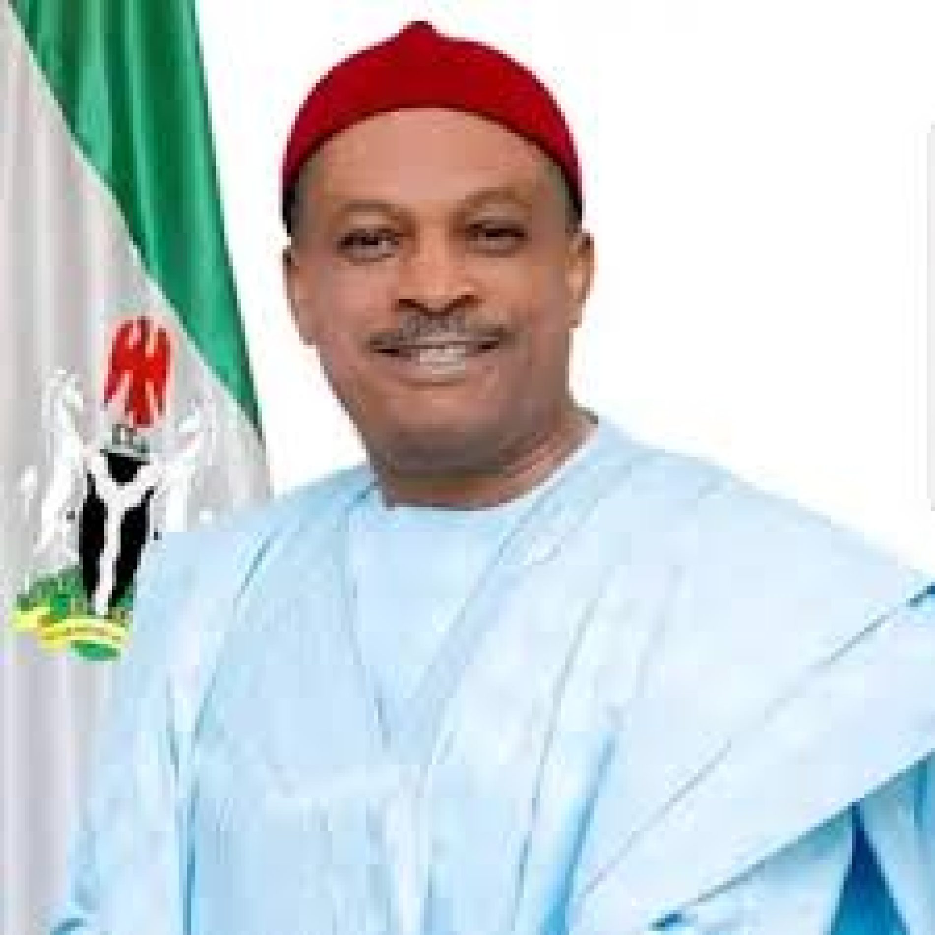 My Mandate Is To Salvage Imo State – Senator Anyanwu
