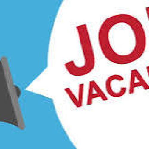 JOB ADVERTISEMENT: Chief Operating Officer (COO) of a Multinational Corporation Highly Needed
