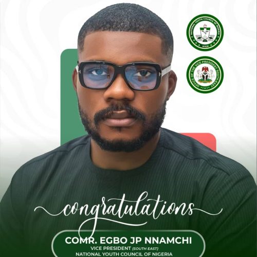 Youths Congratulate Comr Nnamchi for emerging Vice President South East NYCN