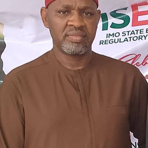 World Energy Day: Owerri North lawmaker, Ofurum, stresses on sustainable electricity
