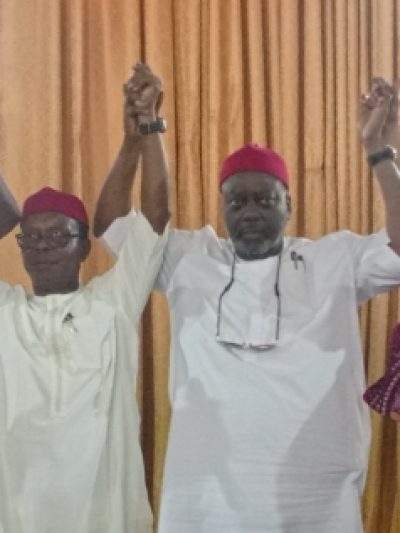 Imo North APC Primary Ends In Massive Consensus Victory For Senator Ndubueze As Ex-Aspirants Close Ranks