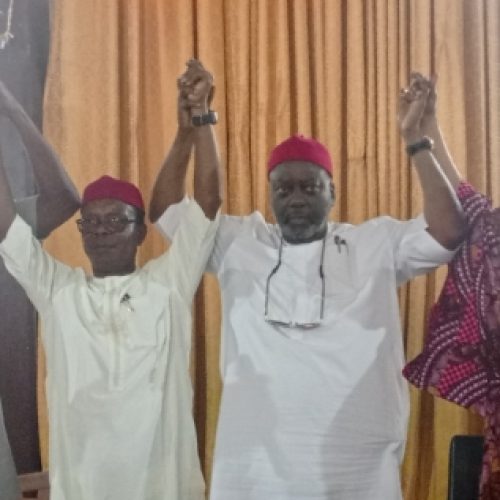 Imo North APC Primary Ends In Massive Consensus Victory For Senator Ndubueze As Ex-Aspirants Close Ranks