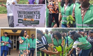 Planting Hope, Building Resilient Cities: Federal Polytechnic Nekede Marks World Environment Day 2026 With Action, Intellectual Engagement