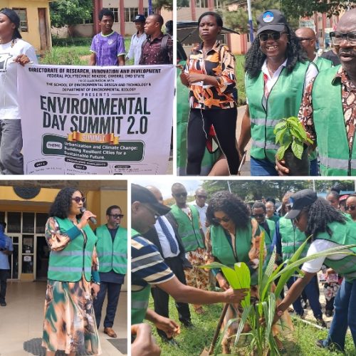 Planting Hope, Building Resilient Cities: Federal Polytechnic Nekede Marks World Environment Day 2026 With Action, Intellectual Engagement
