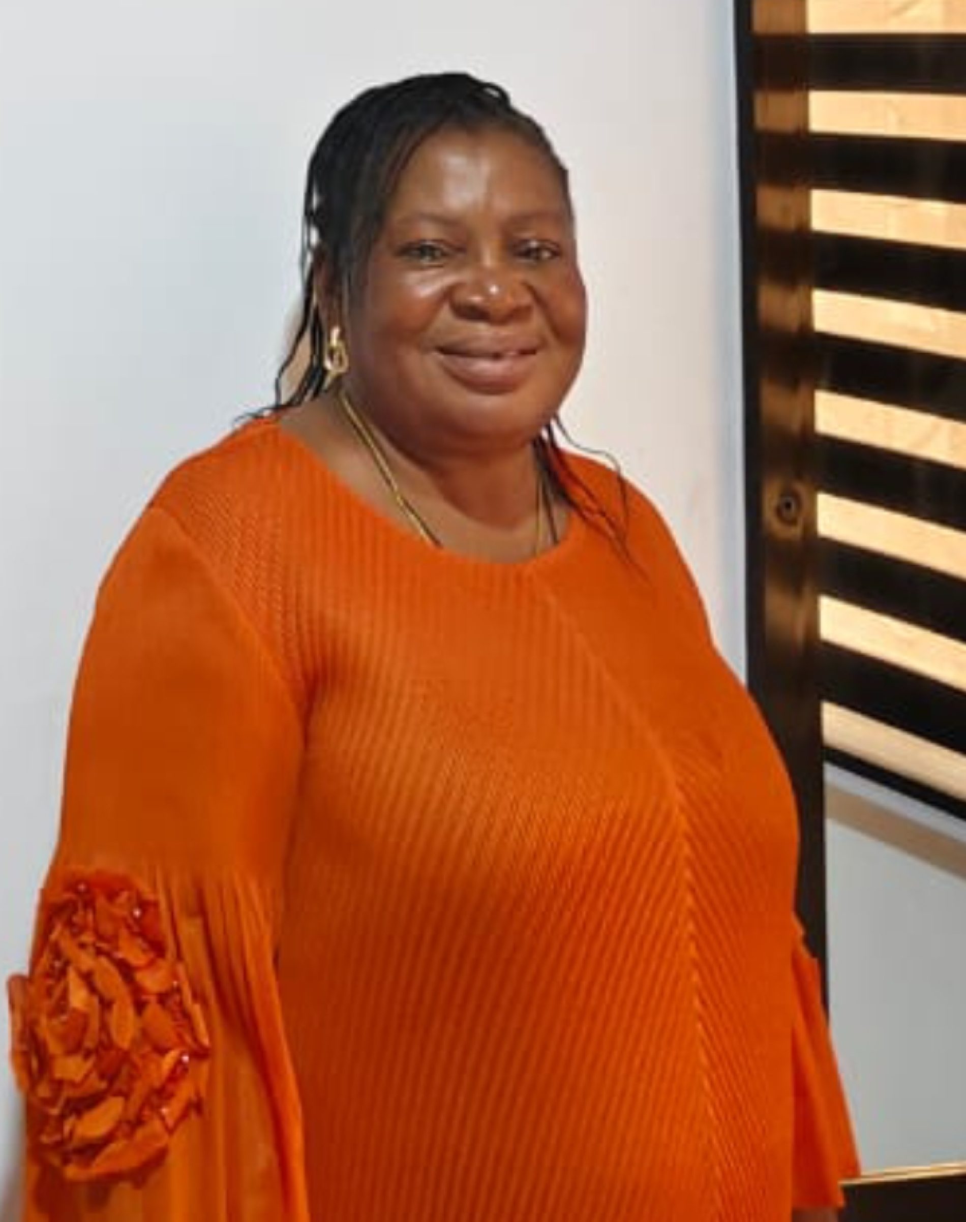 Electricity Contract For Assa, Awarra, Obile, Ochia Communities Awarded By Renaissance Africa Energy Company, Not AGPC —Onyiriuka