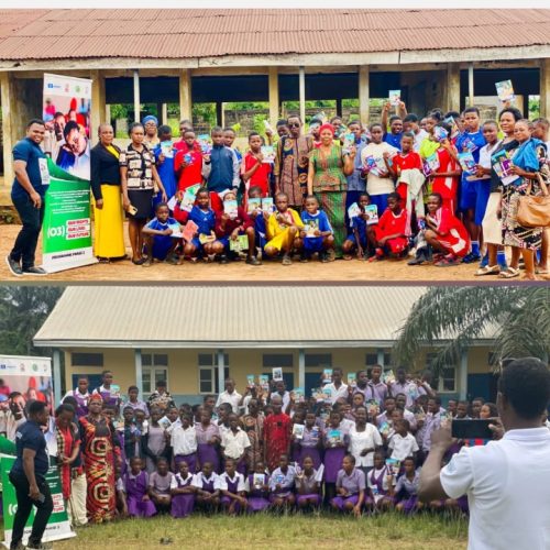 Over 21,000 young learners reached as Imo FLHE team strengthens adolescent health Services
