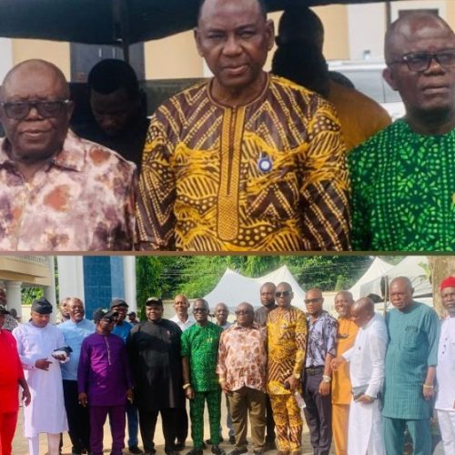 Emelumba seeks support for Tinubu, Uzodimma, as Oru North APC holds unity rally