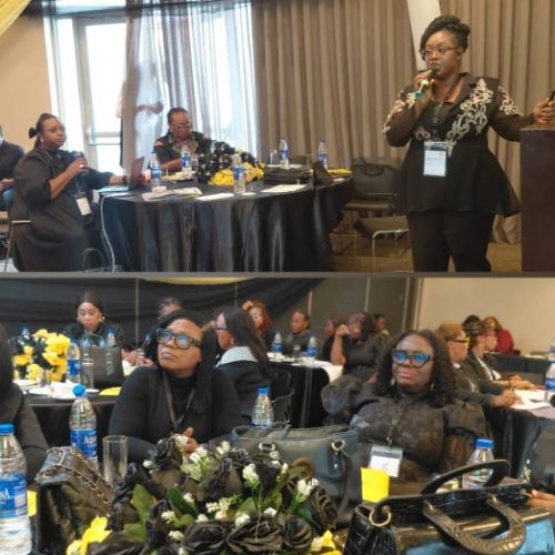 GBV: Amnesty Int’l, human rights activist advocate for survivor-centered response system