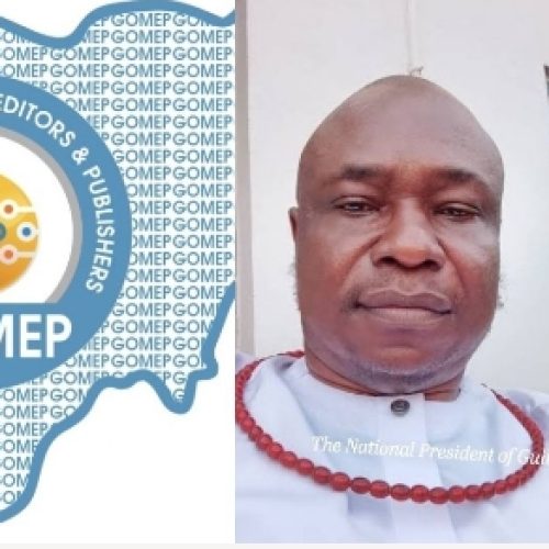 GOMEP-NG President Faults Nigeria’s Empowerment Model, Calls for Structural Economic Reforms