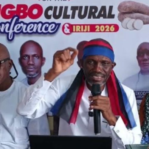 INC Intensifies Push for Igbo Language Bill, Raises Alarm Over Falling Birth Rate, Cultural Erosion